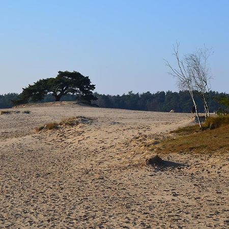 Huisje Weideblik Doornspijk エクステリア 写真