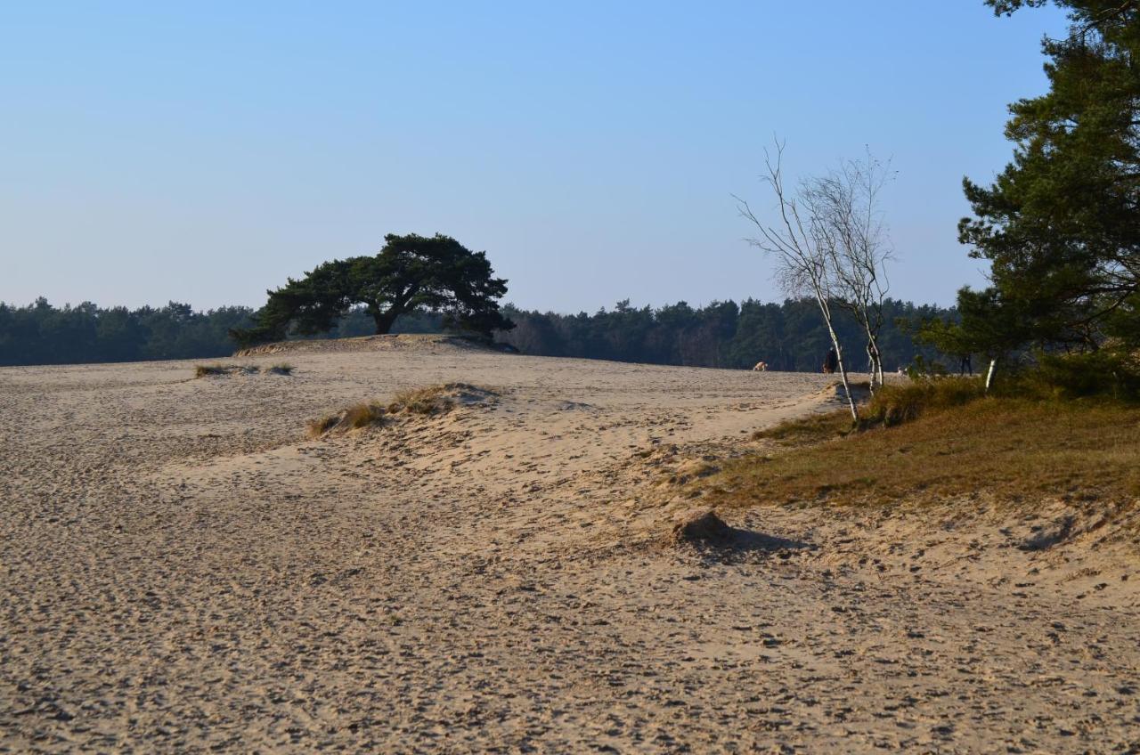 Huisje Weideblik Doornspijk エクステリア 写真